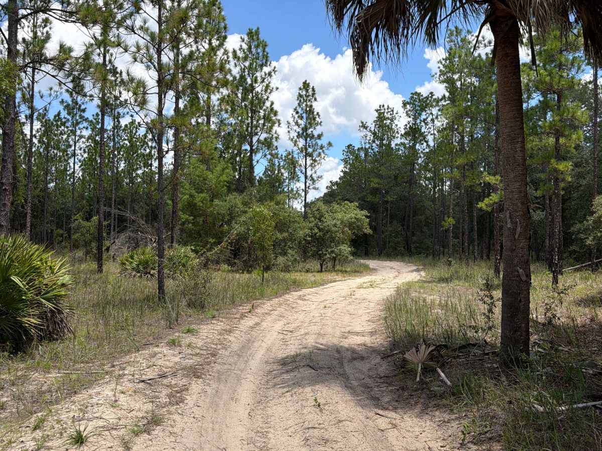 FS 47ST-0.7 trail photo