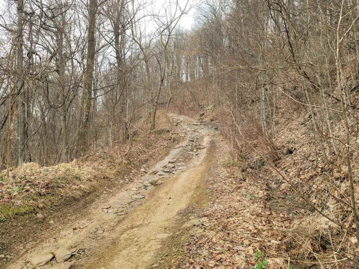 83 - American Knob Bypass photo 5