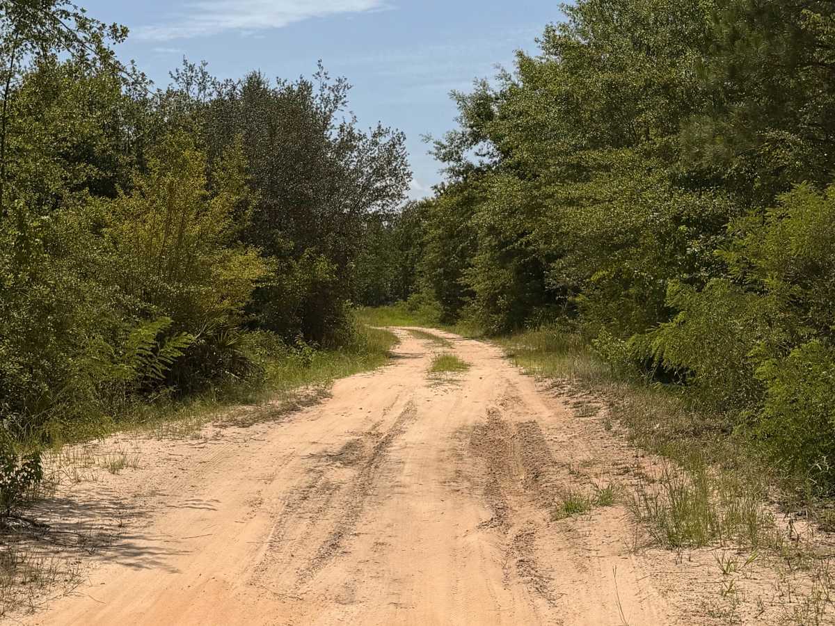 Buck Island Boat Ramp Trail photo 2