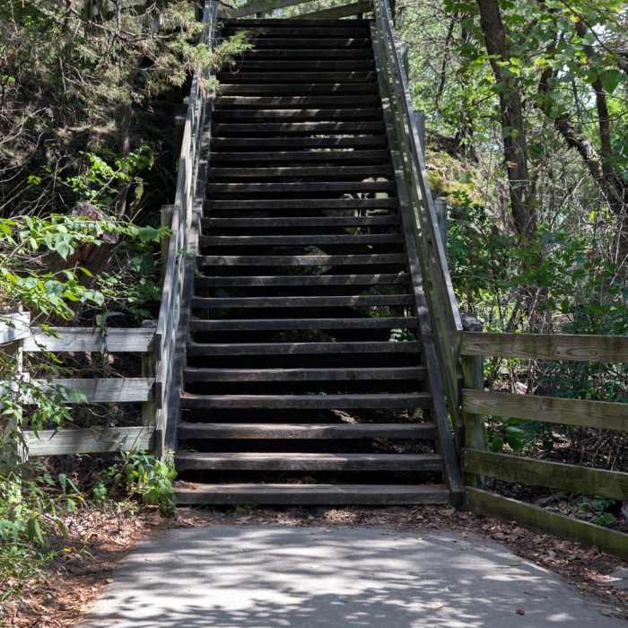Near Starved Rock Trail