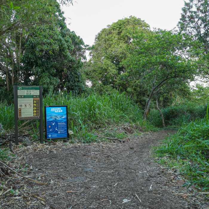 Near Captain Cook Monument Trail Near Captain Cook Monument Trail