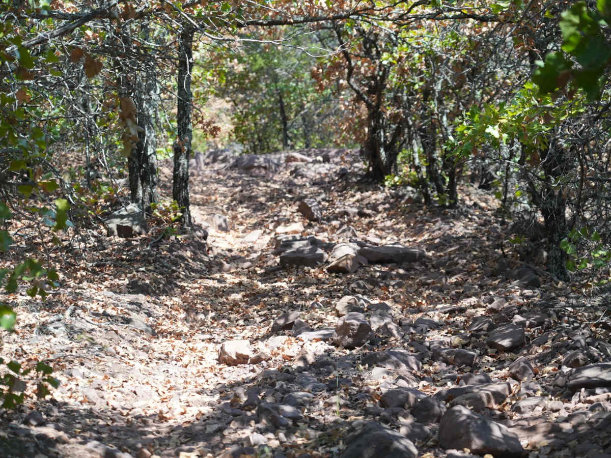 Blue 55 photo 6