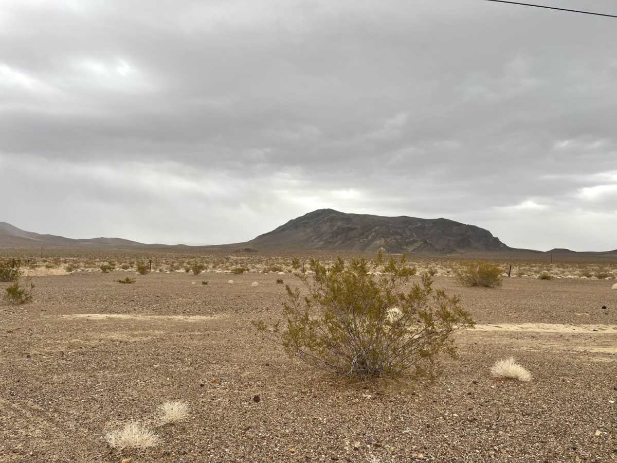 Dunes Poll Line Road photo 6