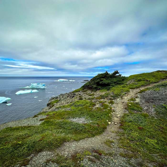 Hiking near a cliffside with icebergs in view. Near Long Point Lighthouse Loop Trail