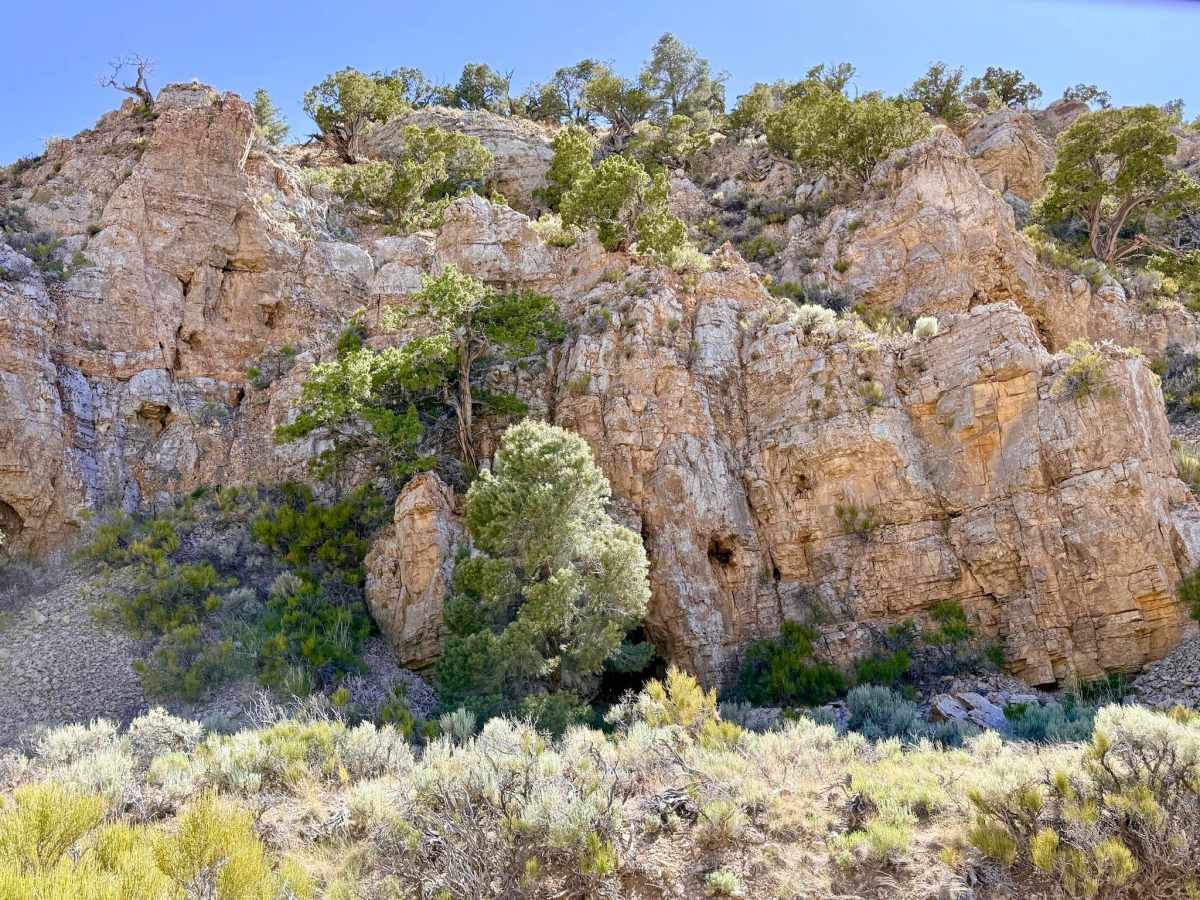 Segura Spring photo 3