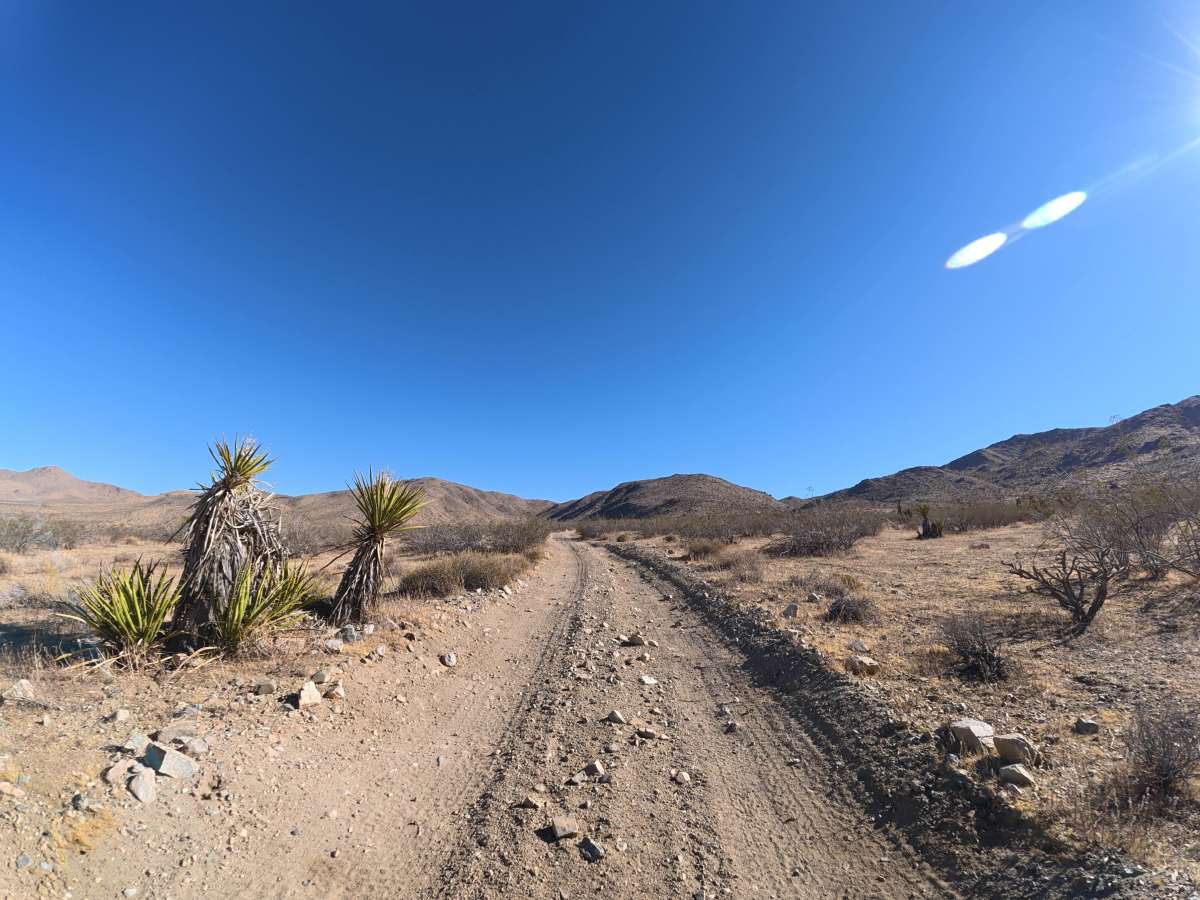 BLM 0M6627 photo 6