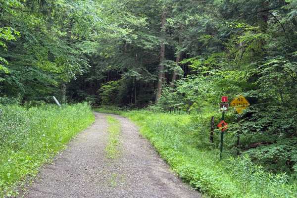 Coon Run 2 - FS 327-2