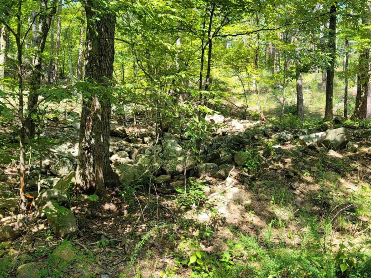 Wildcat Hollow photo 5