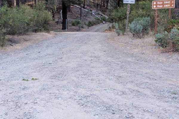 Goods Gulch Road - FS 31N38