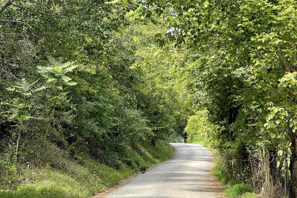 Route 685