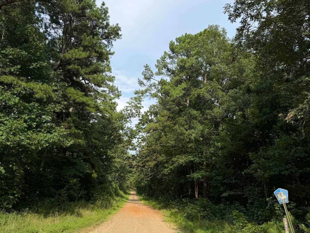 East Fork Bypass trail photo