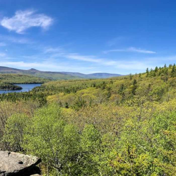 Near North Point Mountain via Escarpment + Marys Glen Trails