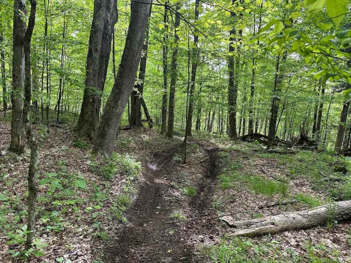 Orange Single Track A- B4 photo 3