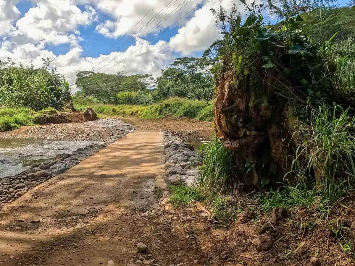 Jurassic Park Gate Trail photo 4