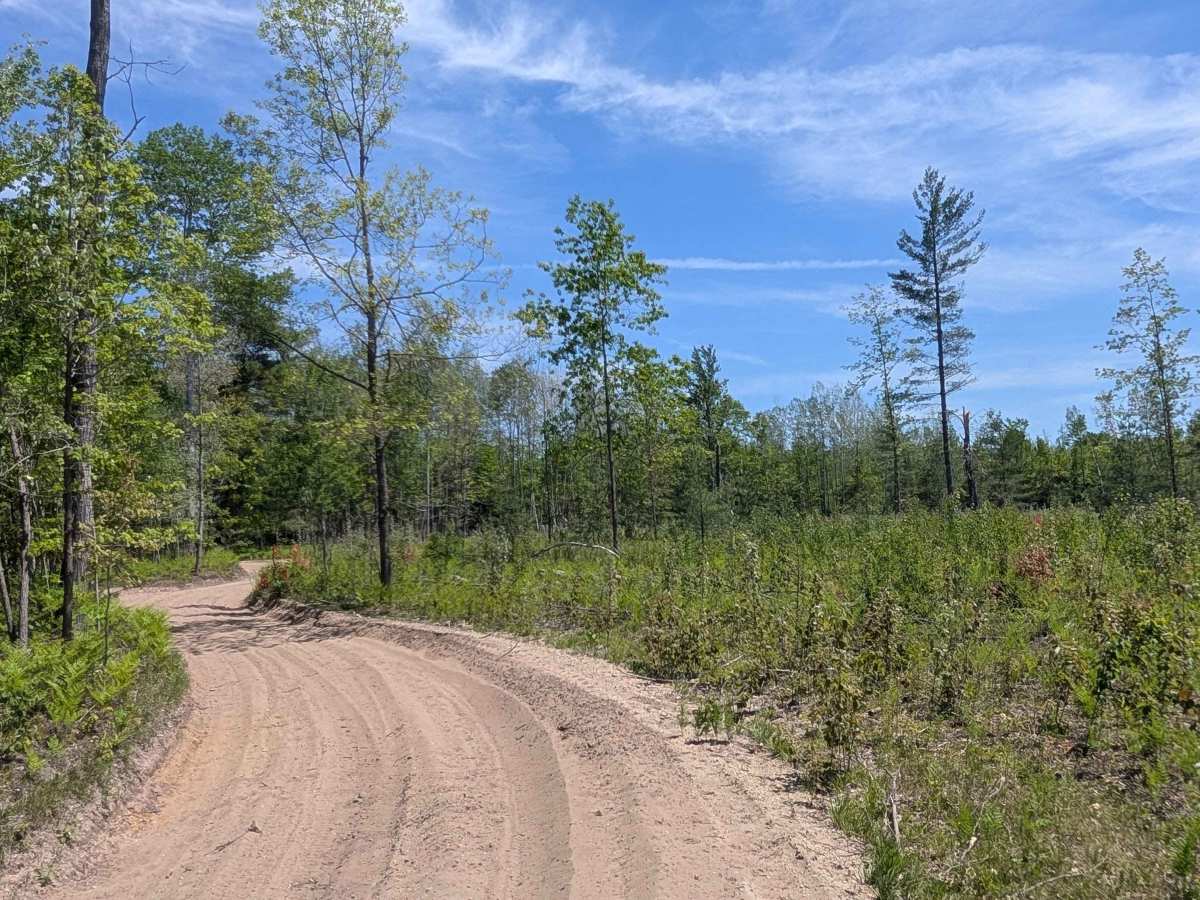 North Missaukee Route (section 4) trail photo