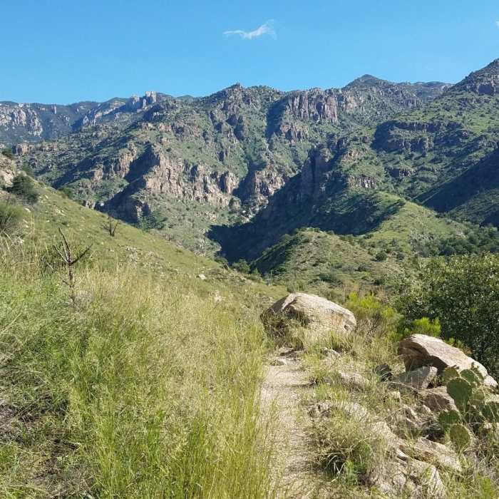 Just after the turn on to AZT. Near AZT - Passage 11 - Santa Catalina Mountains