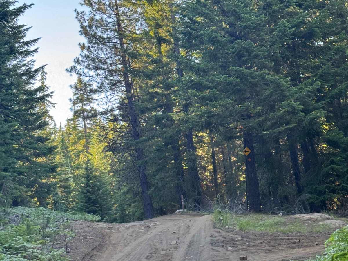 Dollar Nine Lake - FS 2076-730 photo 3
