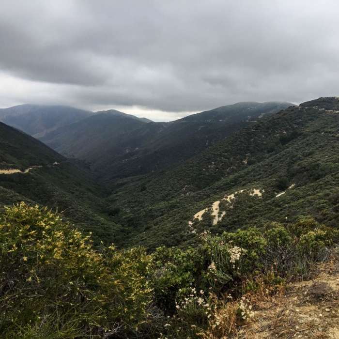 Near Leona Divide Loop