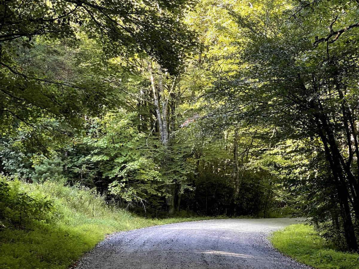 Flannary Fork Road photo 5