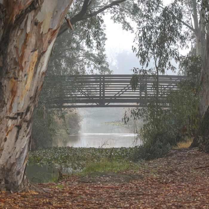 Near Fahrens Creek Trail Near Fahrens Creek Trail