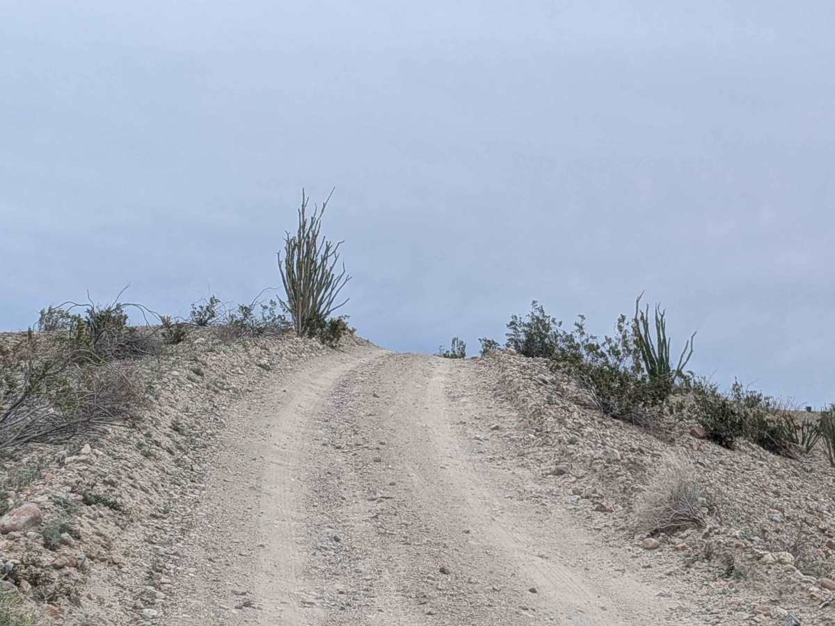 Goat Trail photo 4