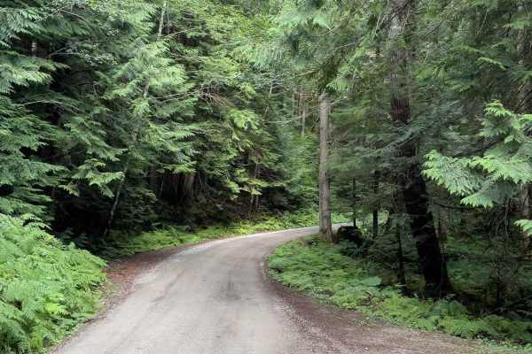 Hannegan Road
