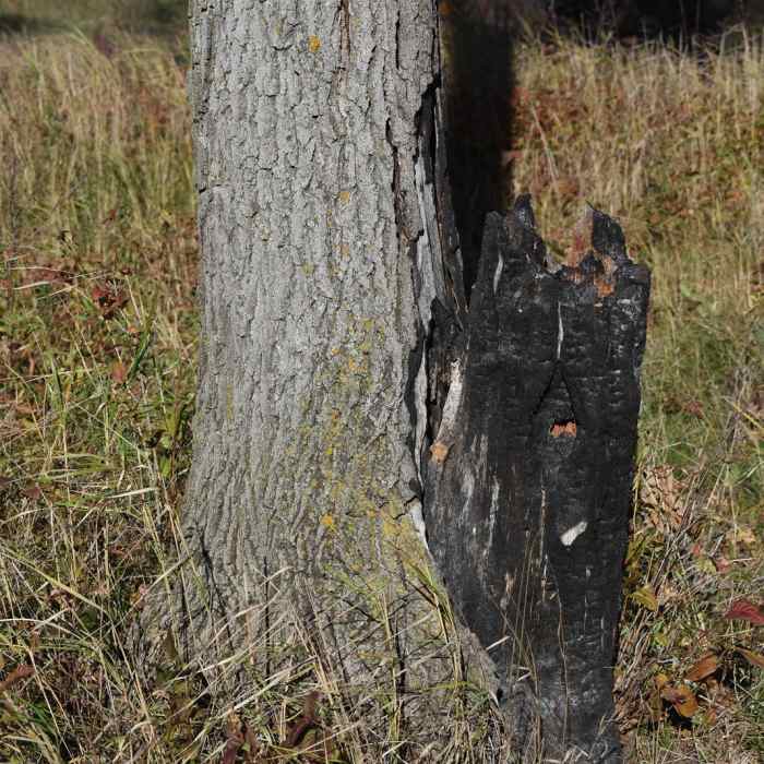 Near Blue Hill Trail Near Blue Hill Trail