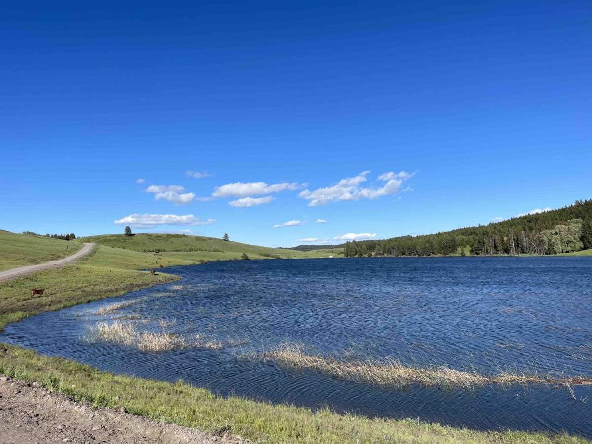 Lindbom Lake Road photo 4
