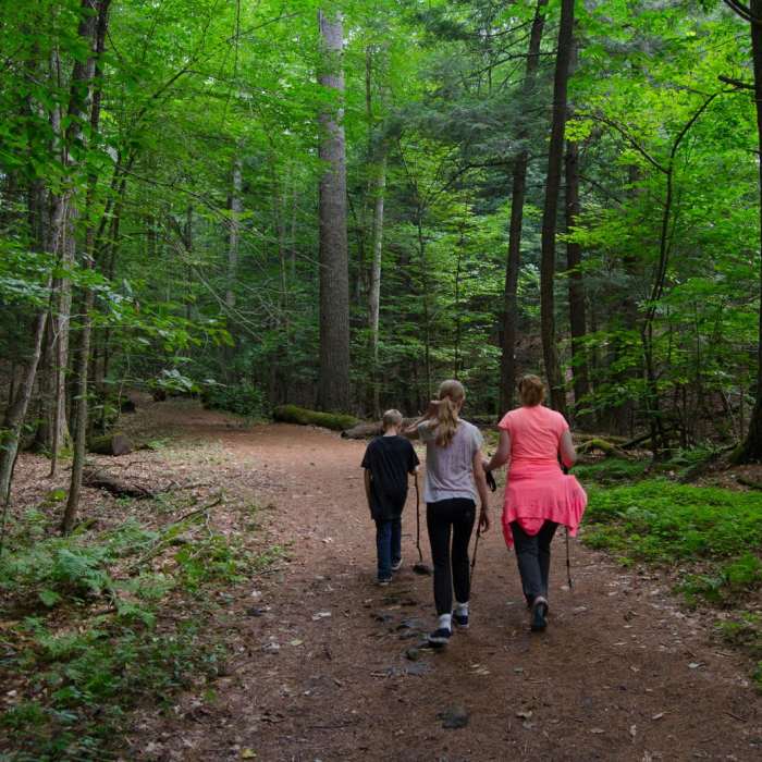 Near Shelving Rock Mountain