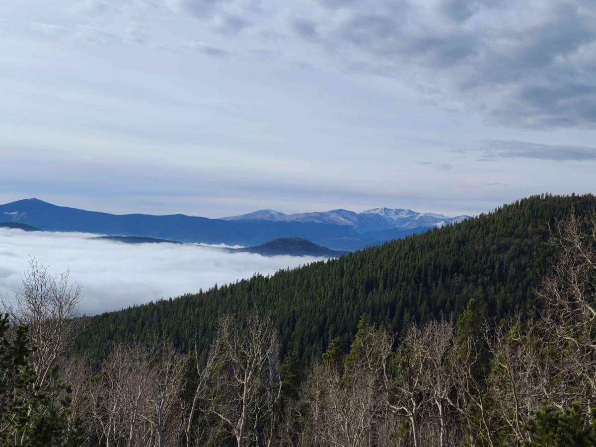 Yankee Hill / Mosquito Creek trail photo