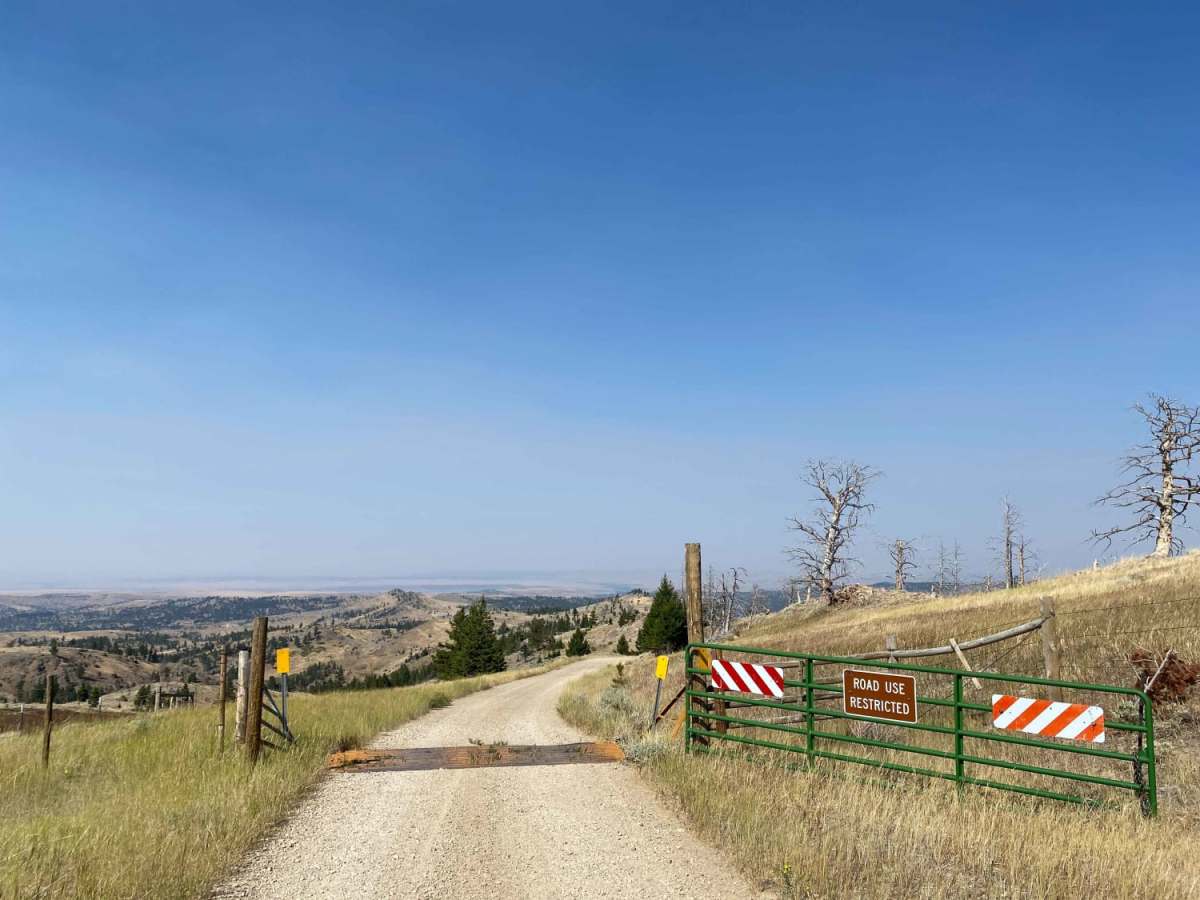 Iron Mountain Road trail photo