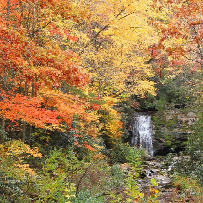 Near Meigs Creek Trail