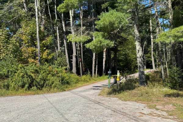 Mongaup River Road