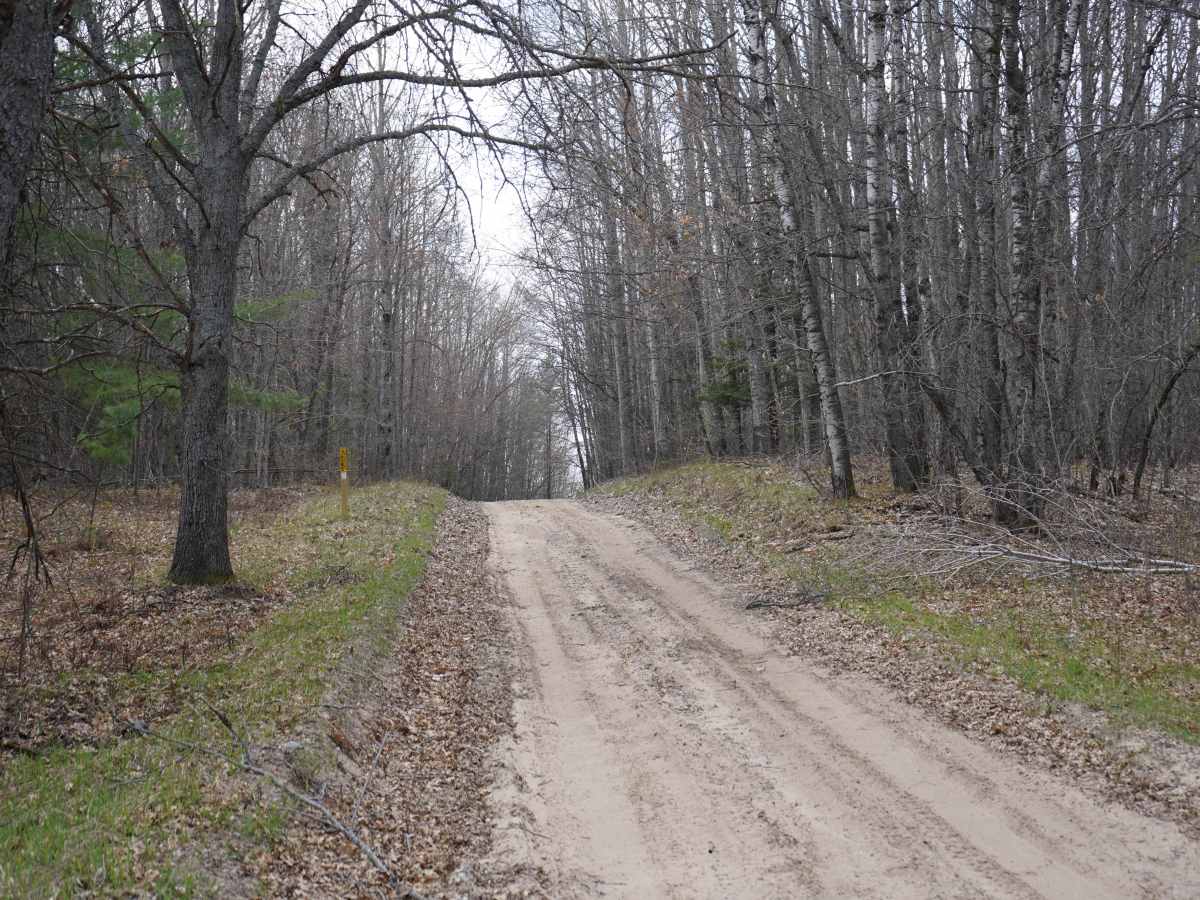 Maybee-Robinson Lake Road photo 4