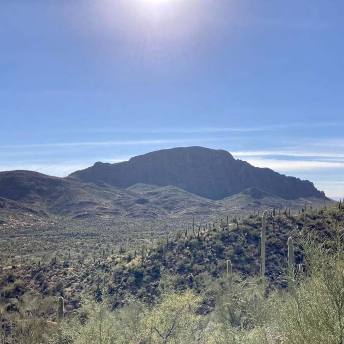 Near Rock Wren Trail