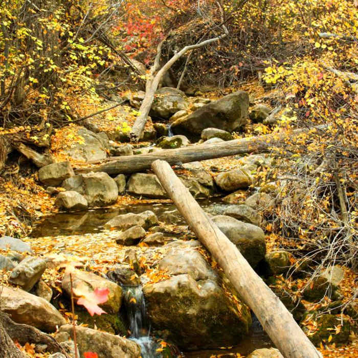 Near Grotto Falls Trail