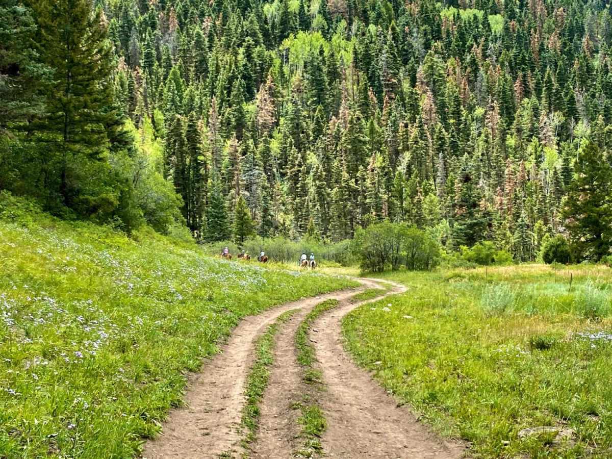 Baldy Trail photo 5