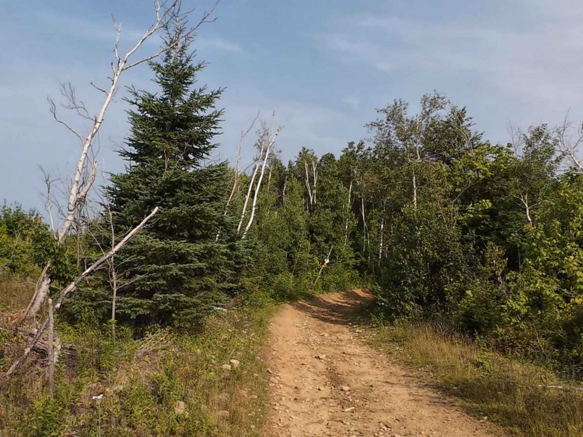 Hardscrabble Clear Cut photo 4