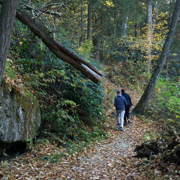 Near Alum Cave Trail Loop Near Alum Cave Trail Loop