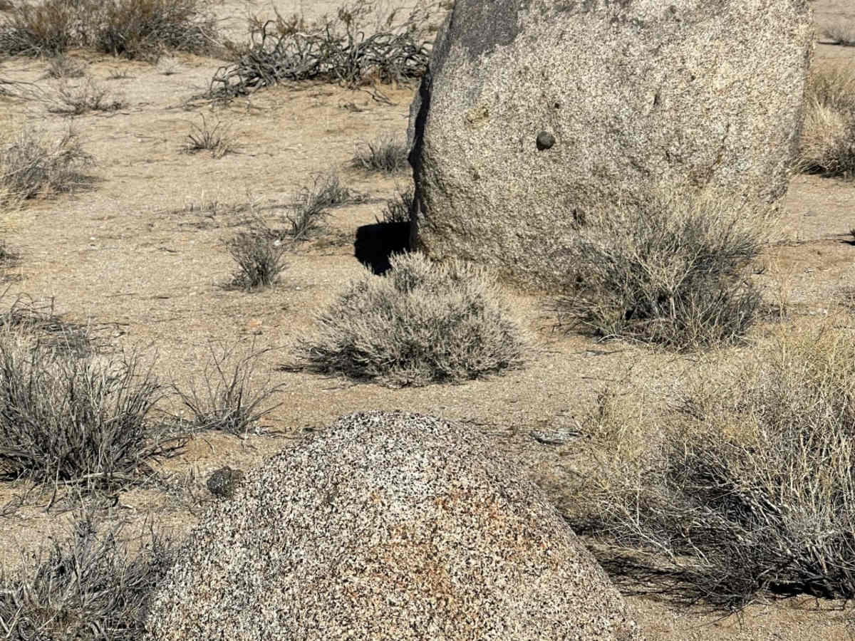The Outs trail photo
