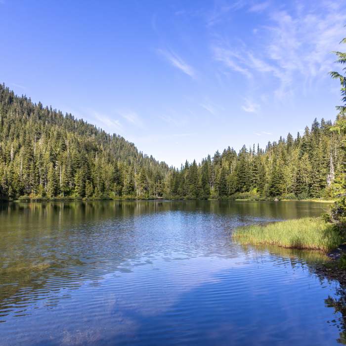 Near Little Divide Trail