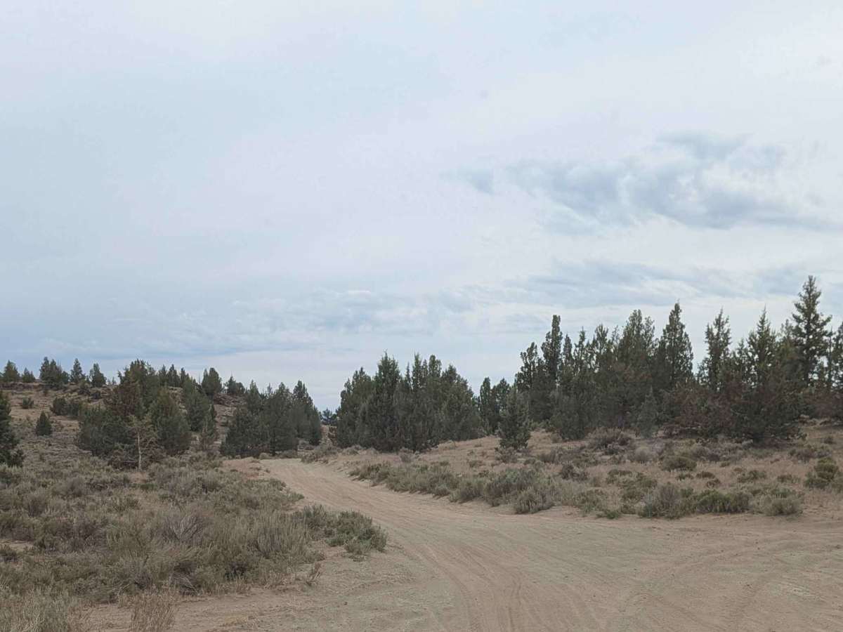 Cline Buttes OHV Trail 32 photo 3