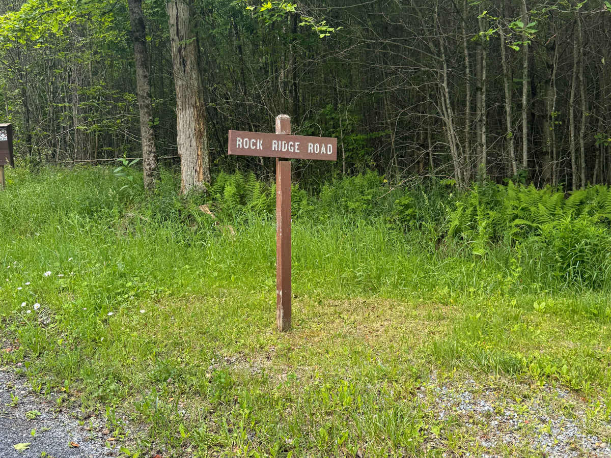 Rock Ridge Road trail photo