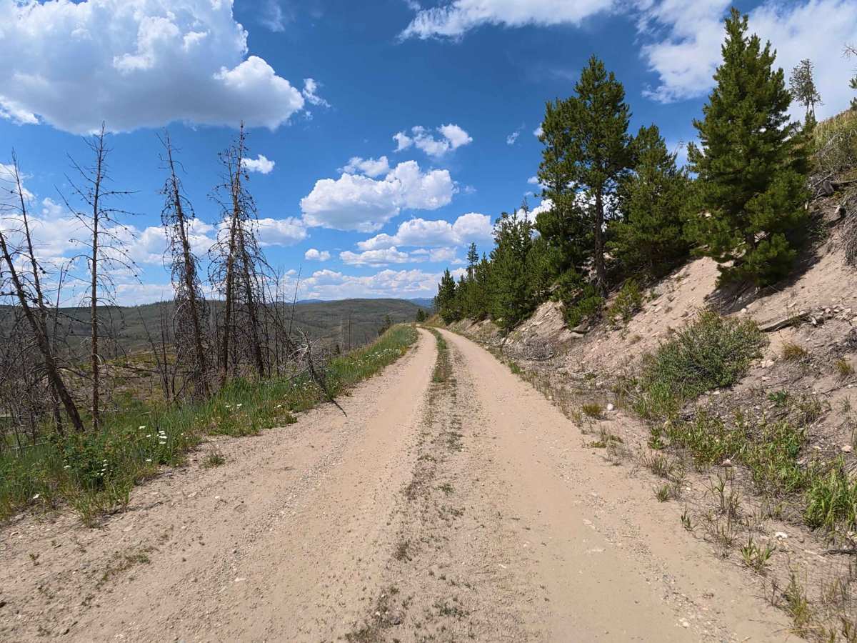 Dirty Bird Spur Road - 121 photo 2