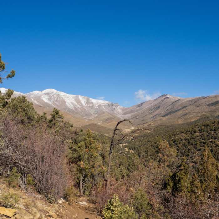 Near Lovell Canyon Trail