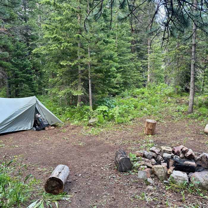 Near Continental Divide Trail: Montana-Idaho Section 25