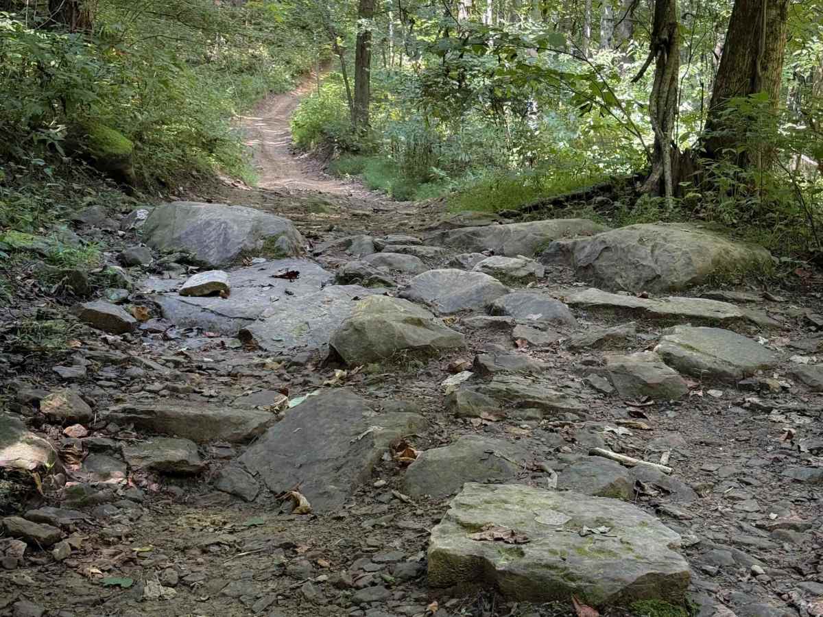 Fred’s Way Trail 28  photo 2