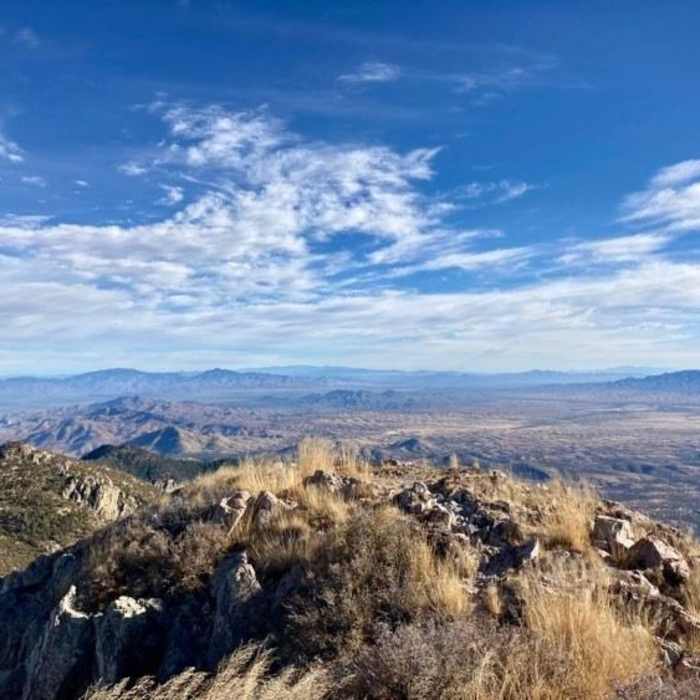 Near Mt. Wrightson via Old Baldy Trail