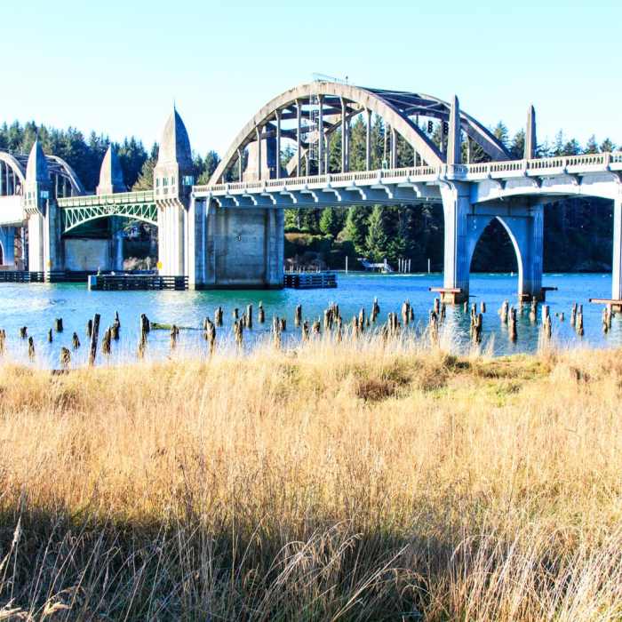 Near Oregon Coast Trail Section 6