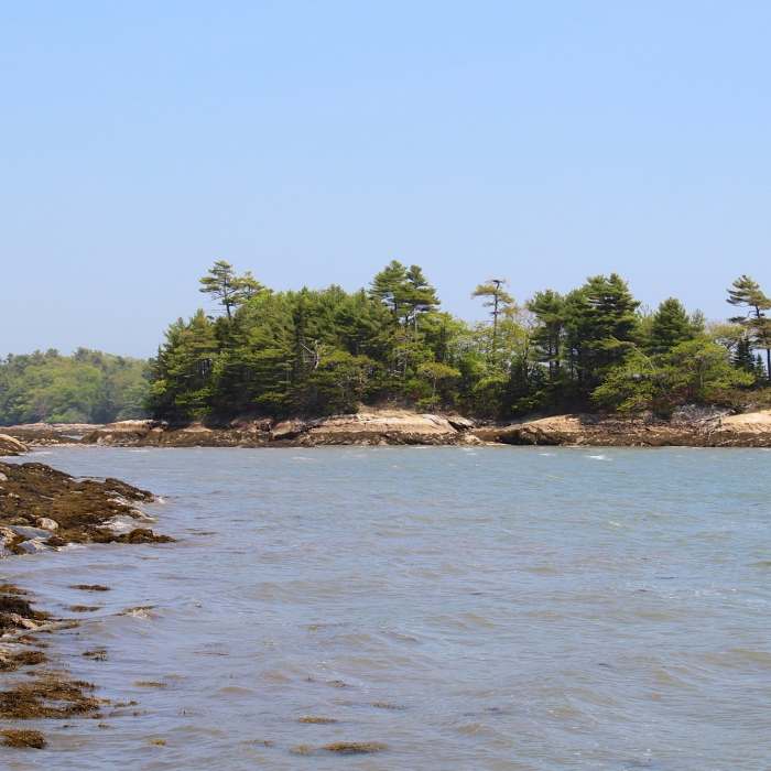 Googins Island Near Wolf Necks Woods Loop